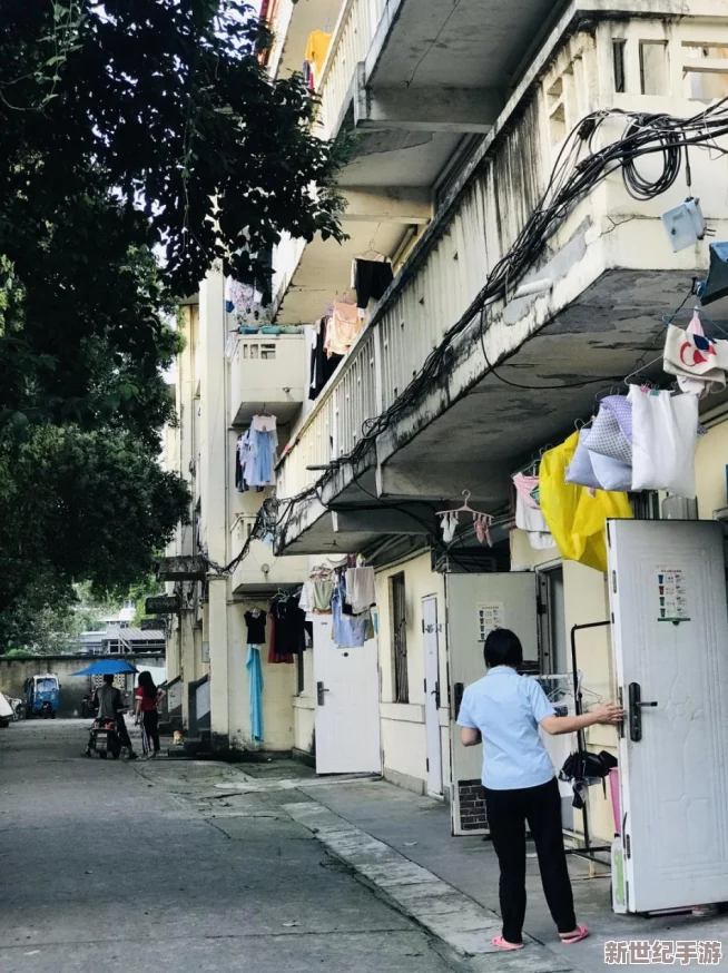 铜铜铜铜铜铜好大深色板的功能与主治