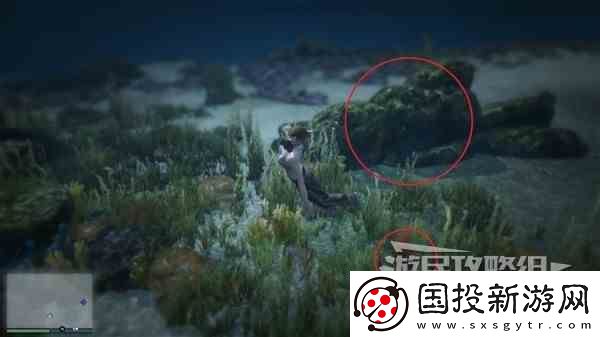 GTAOL全海底迷幻仙人掌位置一览水下仙人掌在哪