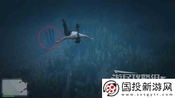 GTAOL全海底迷幻仙人掌位置一览水下仙人掌在哪