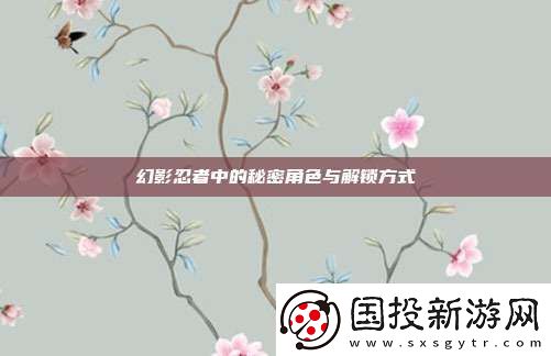 幻影忍者中的秘密角色与解锁方式