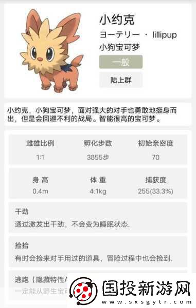 口袋妖怪新作震撼来袭