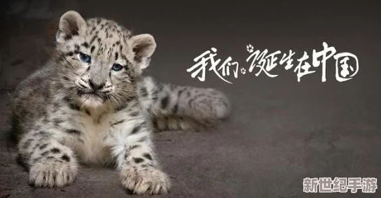 人物动物高清在线观看定档