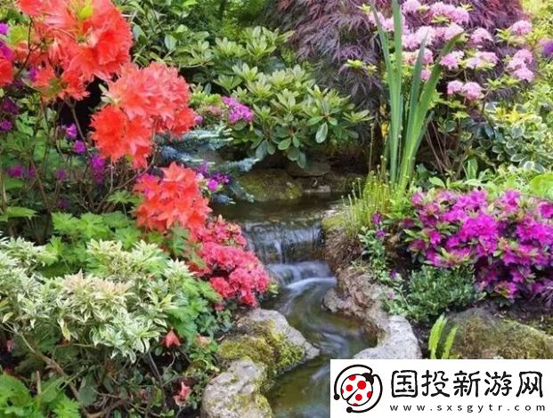小宝探花