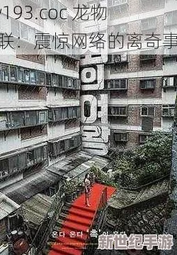 www.yw193震惊全国