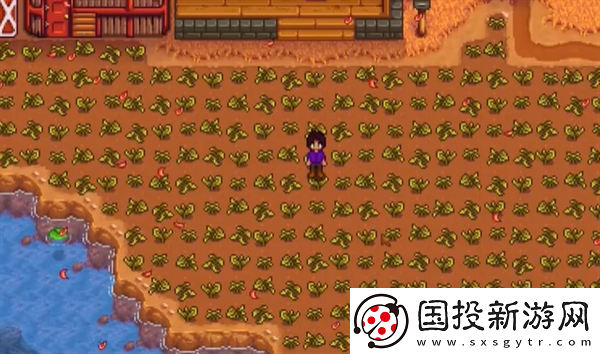 【限时兑换】星露谷物语春天怎么保地
