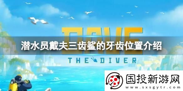 潜水员戴夫三齿鲨的牙齿在哪