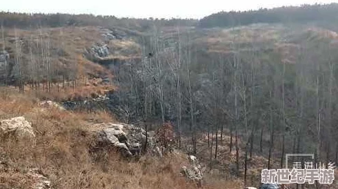 东北大坑原始欲乱