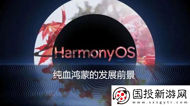 纯血鸿蒙的发展前景如何