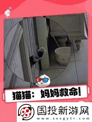 感人至深妈妈