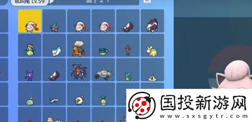 宝可梦朱紫盒子有几个