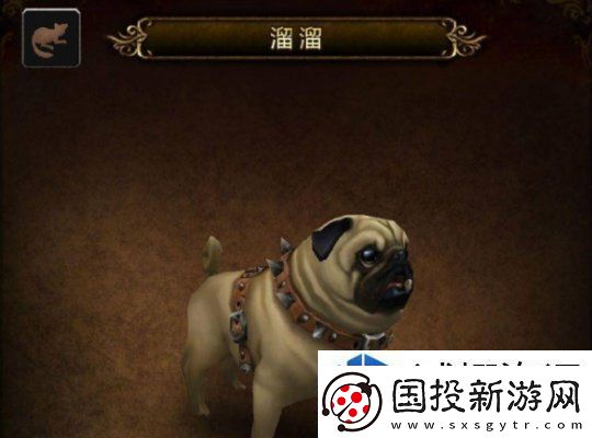 魔兽世界溜溜宠物获取攻略