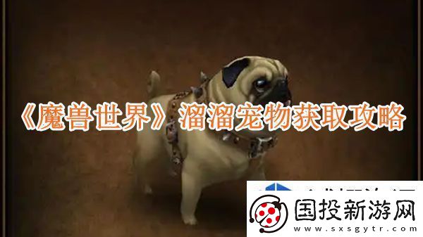 魔兽世界溜溜宠物获取攻略