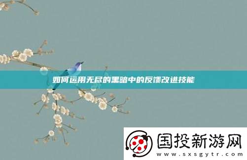 如何运用无尽的黑暗中的反馈改进技能