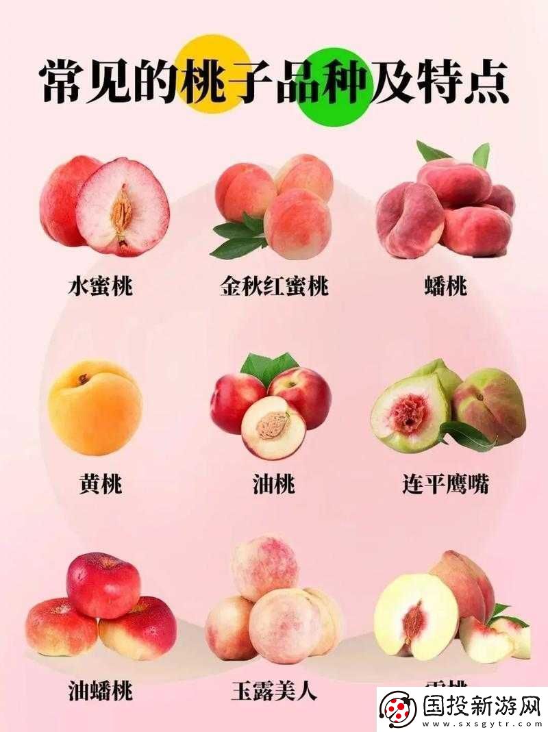 蜜桃产品一二三产区特色及优势介绍
