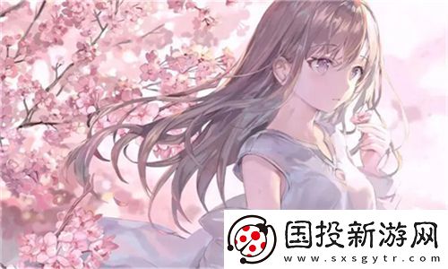 WORDPRESS成品站免费获取心得分享