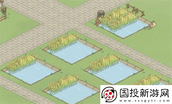 解忧小村落萌新开局策略