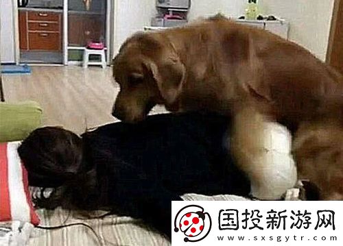 女人跟金毛发生产关系怎么办
