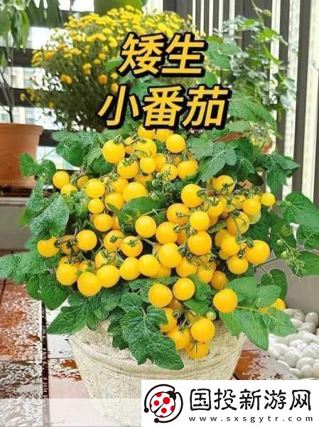 我老公说想在阳台爱我是什么心理