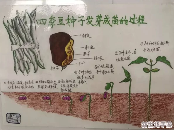 秘密花园17章到20章读后感