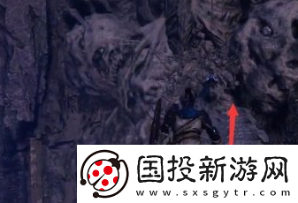堕落之主白眼盾牌怎么获得