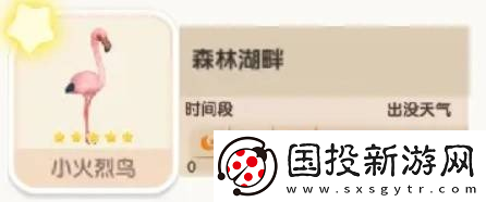 心动小镇小火烈鸟位置一览
