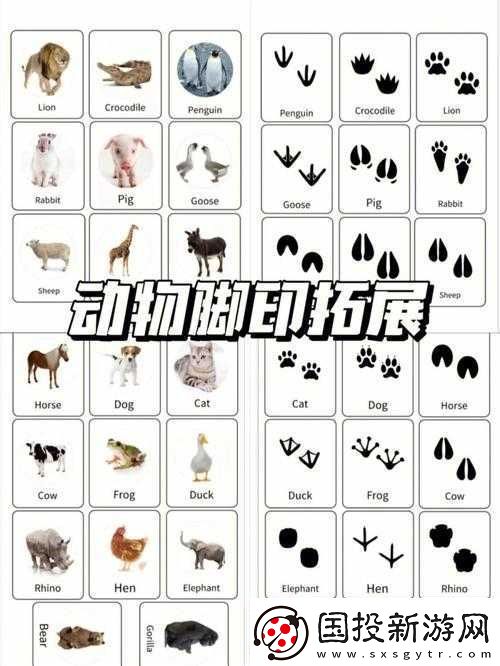 逗趣国冒险之旅