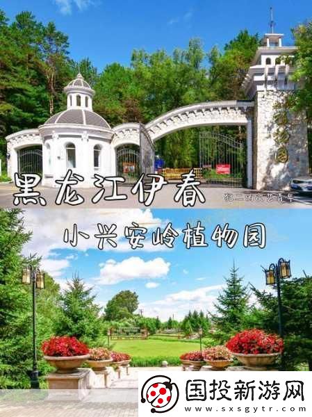 伊春园2023入口直达大象