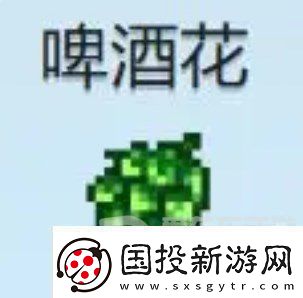 星露谷物语什么酒最赚钱
