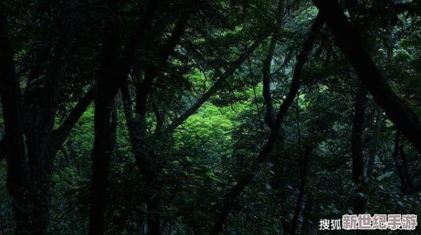 仙踪林一线二线三线