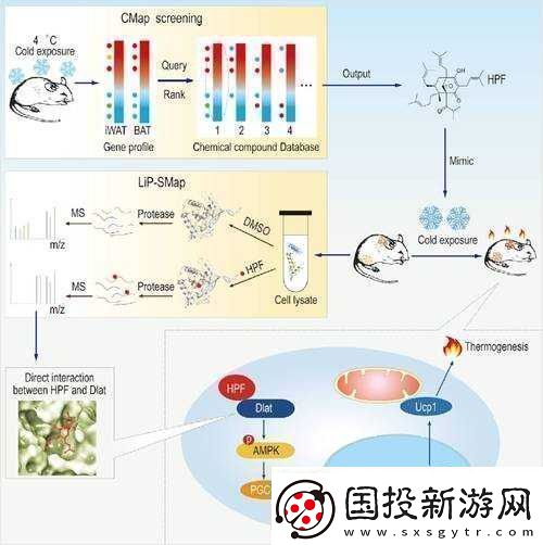 英雄之战攻略养成篇