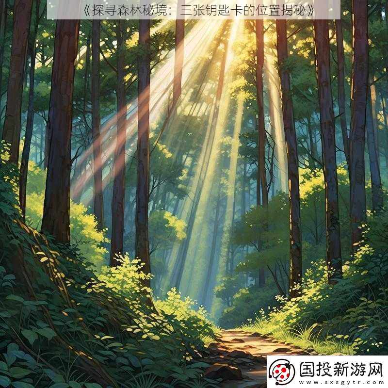 探寻森林秘境