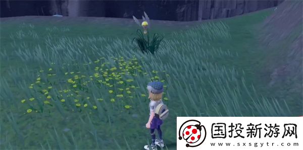 宝可梦朱紫老师事件触发条件全攻略