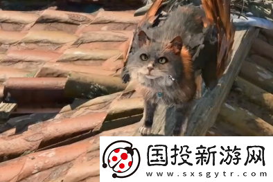 博德之门3闪光戒指在哪获取