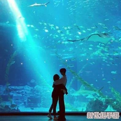 探索午夜之爱免费视频