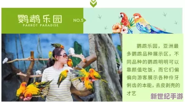 探索欧美与亚洲文化交融的奇妙旅程