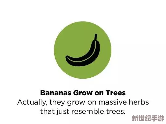 探索香蕉视频禁18背后的秘密