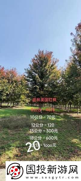 林清老师的授课方式是怎样的