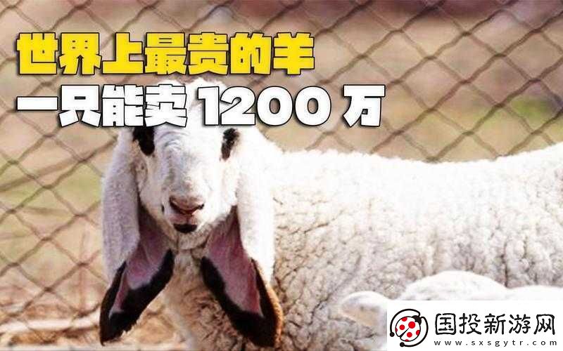 人类黎明之羊毛大发现