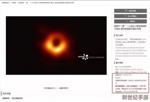 探索另类视觉盛宴