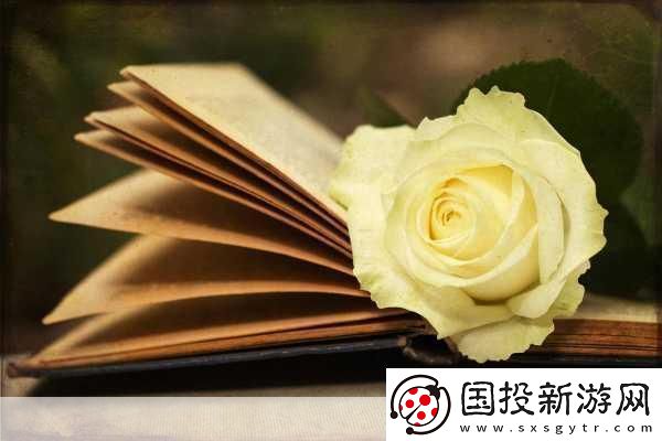 双子母线12日漫最火的一句“在双子母线的奇幻旅程中我们找到了彼此的心灵共鸣”