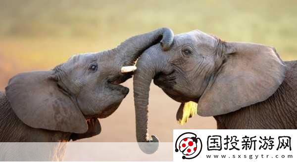 满18点此安全转入2023大象1."勇闯18岁