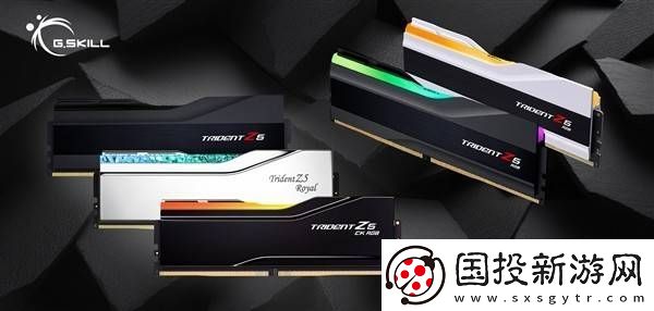 芝奇Trident