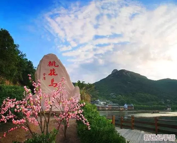 探索朝桐光一区二区