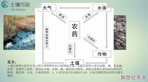 17c污