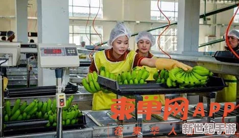 国产一久久香蕉国产线看观看