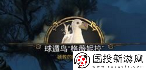 霍格沃茨之遗丰羽之鸟任务如何完成