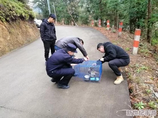 不顾她的挣扎入了进去