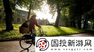 无限暖暖捕捉一缕阳光攻略及任务任务需求操作步骤分析【详解】