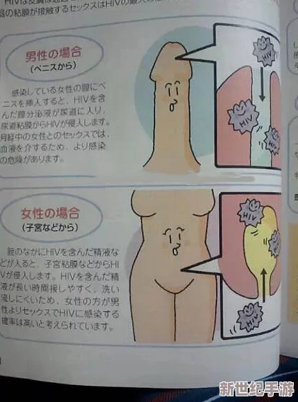 探索日本性生活的多样性与文化背景