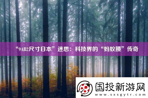 “9AB2尺寸日本”迷思